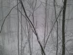 2011-01-08 08.46.23.jpg