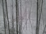 2011-01-08 08.46.28.jpg