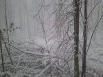 2011-01-08 08.46.31.jpg