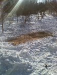 2nd phone pics again 023.jpg