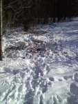 2nd phone pics again 027.jpg