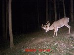 Richard's - Near Dad's Stand.jpg