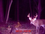 MDGC0171.jpg