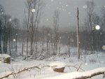 Clear cut.jpg