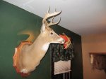 IMG_0047.JPG IMG_0047.JPG