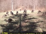 DSC_0110.jpg