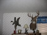 IMG_1149.JPG