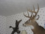 IMG_1150.JPG