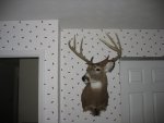 IMG_1151.JPG