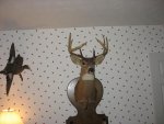 IMG_1152.JPG