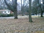 IMG_20110313_092743.jpg