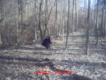 MDGC0016.jpg