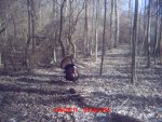 MDGC0015.jpg