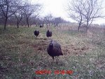 MDGC0020.jpg