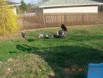 DSCN0153.jpg