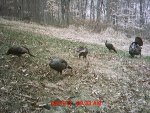 MDGC0155.jpg