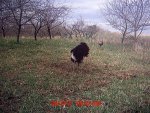 MDGC0064.jpg