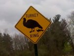 Turkey Crossing.jpg