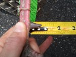 2011-04-30 11.40.21.jpg