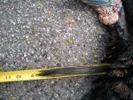 2011-04-30 11.43.21.jpg
