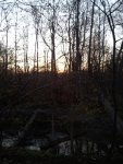 2011-04-30 06.37.18.jpg