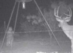 trail%20cam%20buck%20and%20ghost.JPG