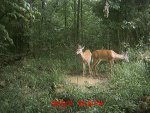 MDGC0455.jpg