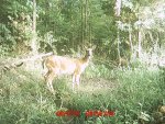 MDGC0491.jpg