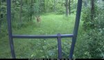 110618AA_Frame6403.jpg