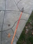 ImageUploadedByTapatalk1353606243.246146.jpg