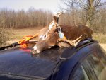 buck 2012.jpg