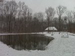 Snowy Yard and Home Photo 11-24-12.jpg