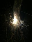 ImageUploadedByTapatalk1355760567.327314.jpg