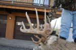 2010 buck side.jpg
