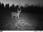 10pt.jpg