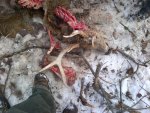 Fairfield-20121228-00588.jpg