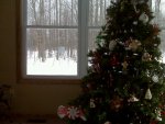 xmas tree.jpg