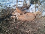 IMG-20130104-00609.jpg