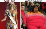 Toe1.jpg