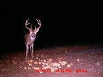 MDGC0067.JPG