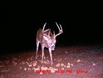MDGC0074.JPG