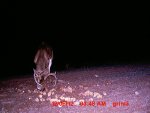 MDGC0079.JPG
