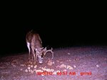 MDGC0080.JPG