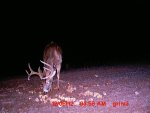 MDGC0081.JPG