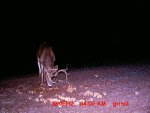 MDGC0082.JPG