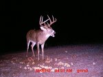 MDGC0083.JPG