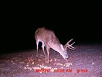 MDGC0084.JPG