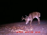 MDGC0085.JPG