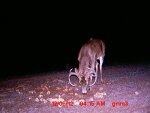 MDGC0086.JPG