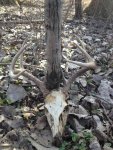 deadhead1-16photo.JPG
